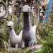 Ma  arrivato ora il momento di entrare. Un vialetto ci conduce nel rigoglioso giardino, dove spiccano statue raffiguranti leoni e dinosauri...
